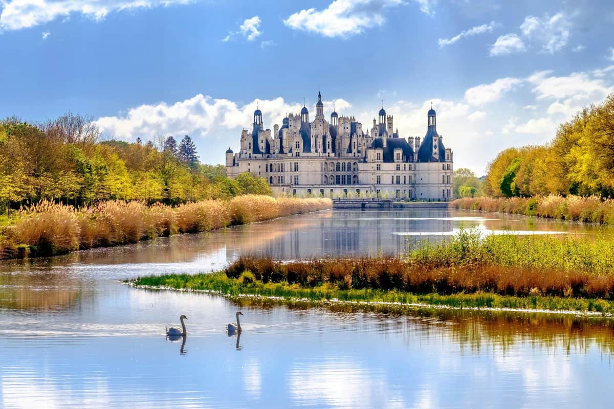 Valle del Loira: Entrada al Castillo + Degustación de Vinos Chambord