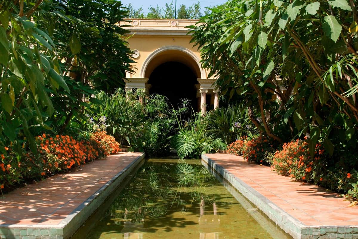 garden