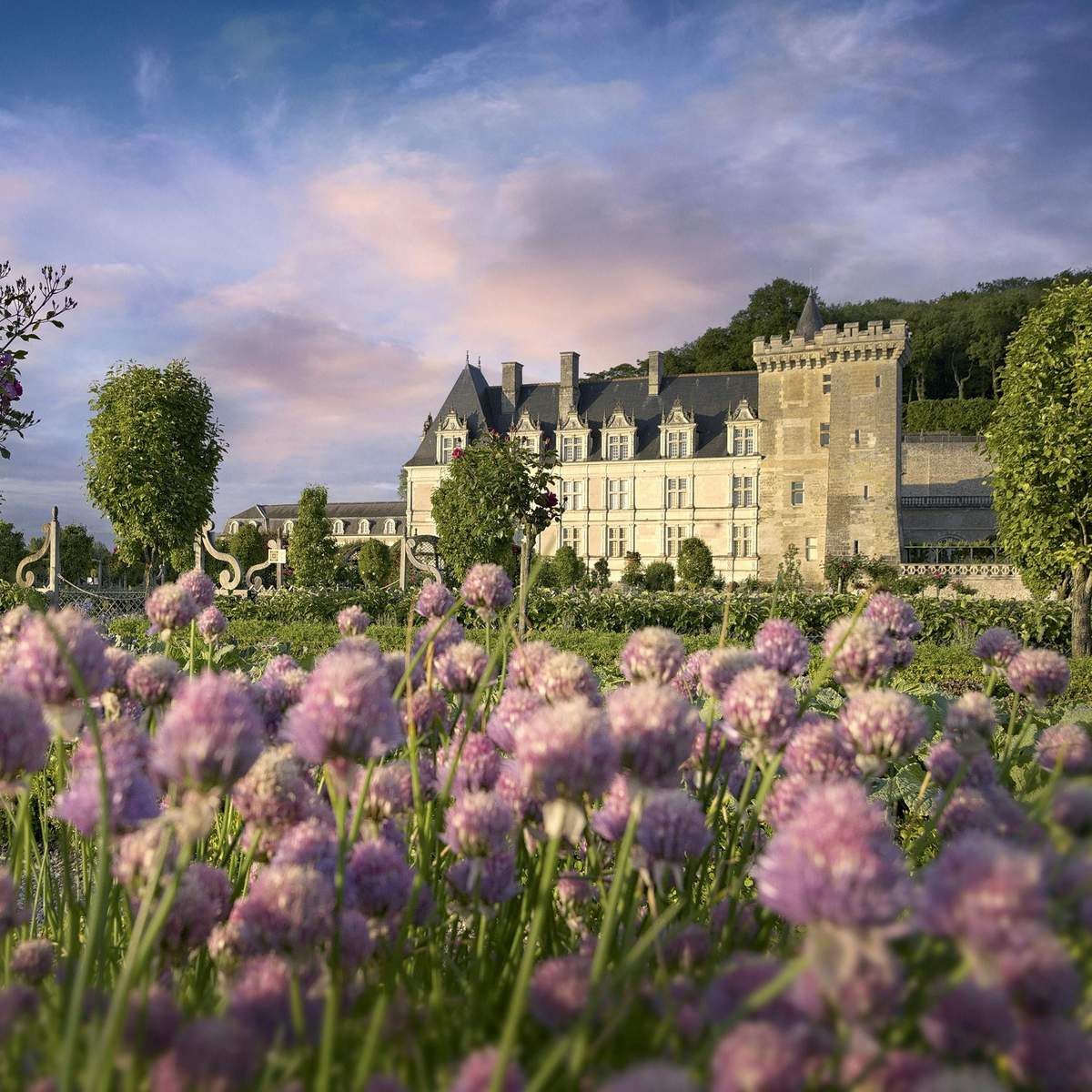 A grand chateau with a tower in the background, framed by a garden of purple flowers under a partly cloudy sky.
