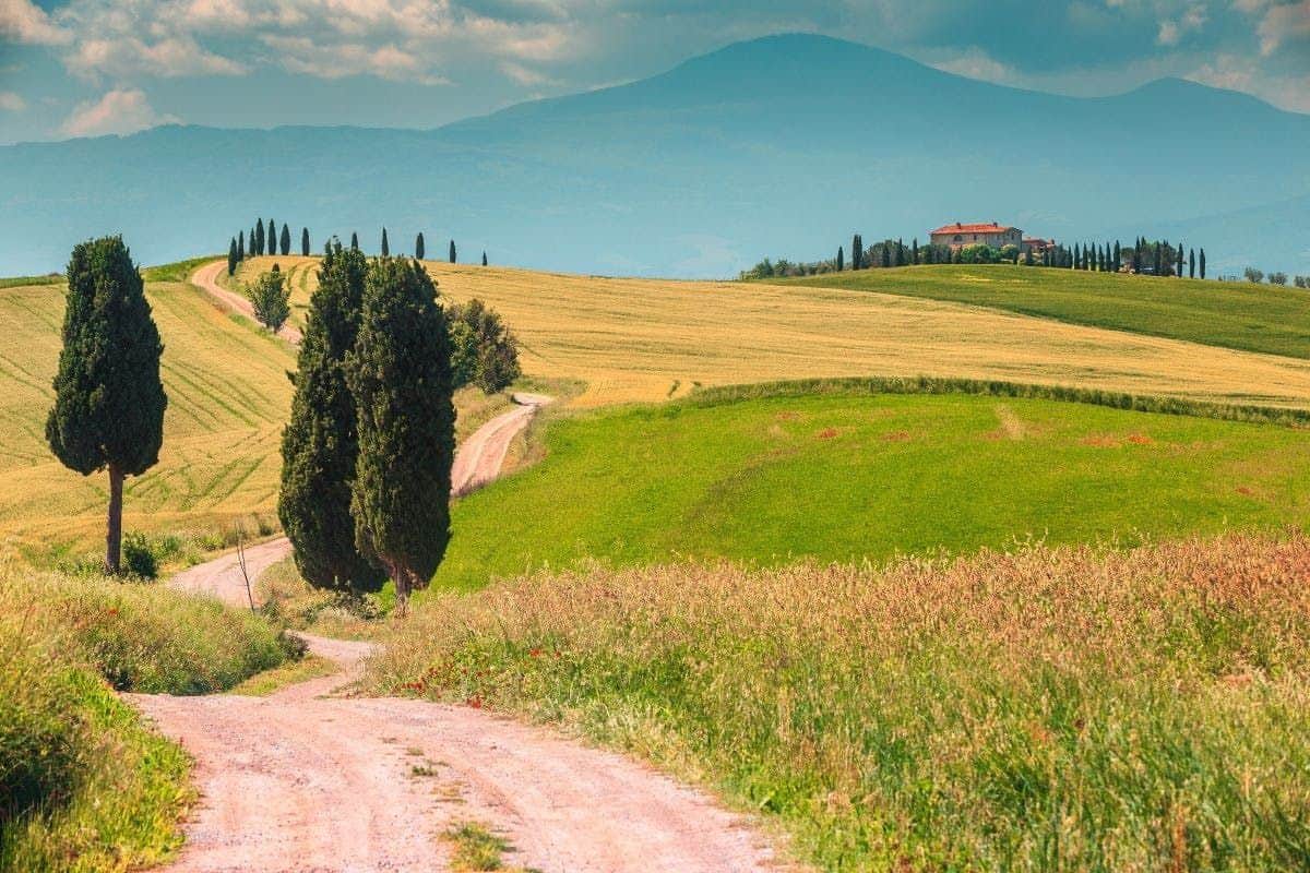 Chianti: Visita guiada a partir de Siena + Prova de vinhos e azeite Tour Chianti e Castelo