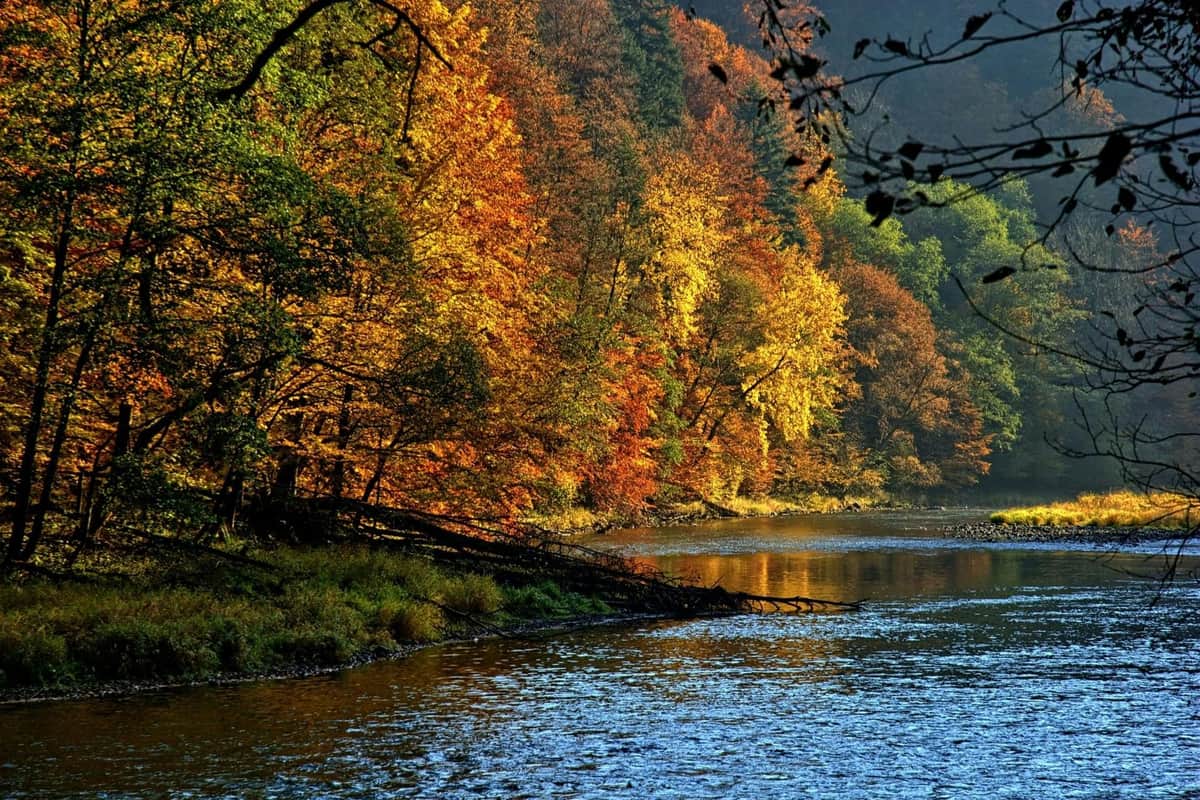Dunajec River