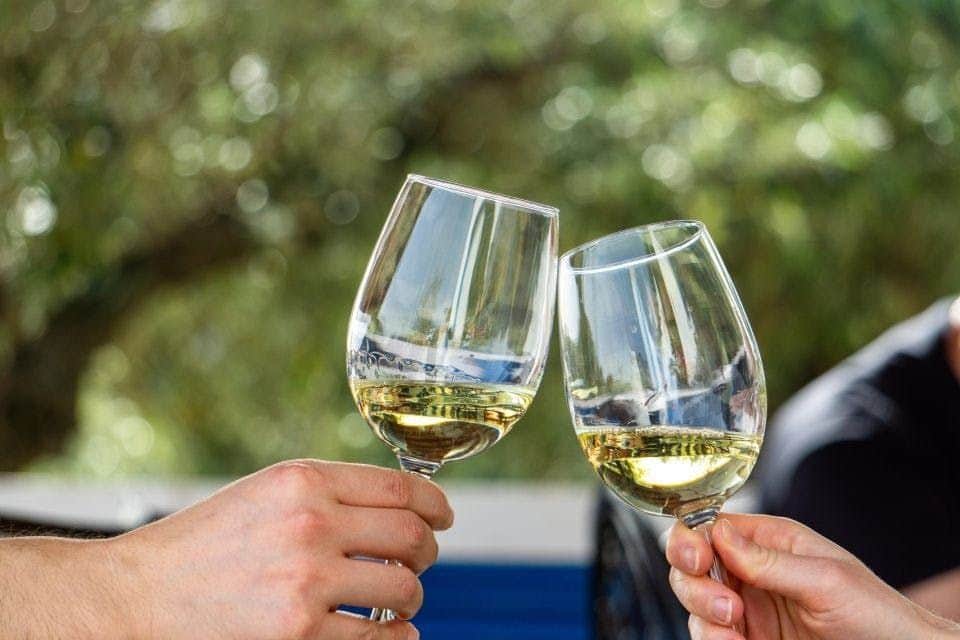 Wine Tour