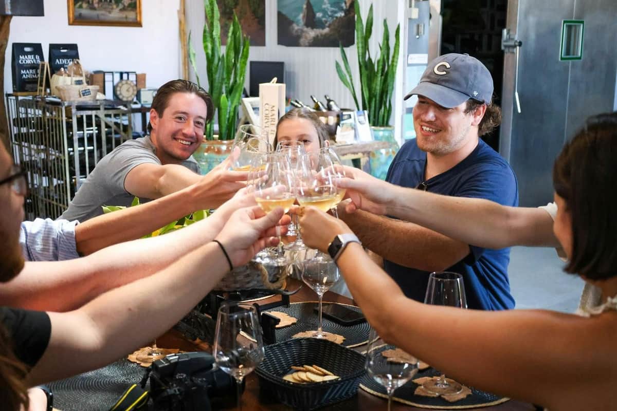 Um grupo de pessoas a levantar copos de vinho branco para um brinde num ambiente acolhedor, com decoração e plantas.