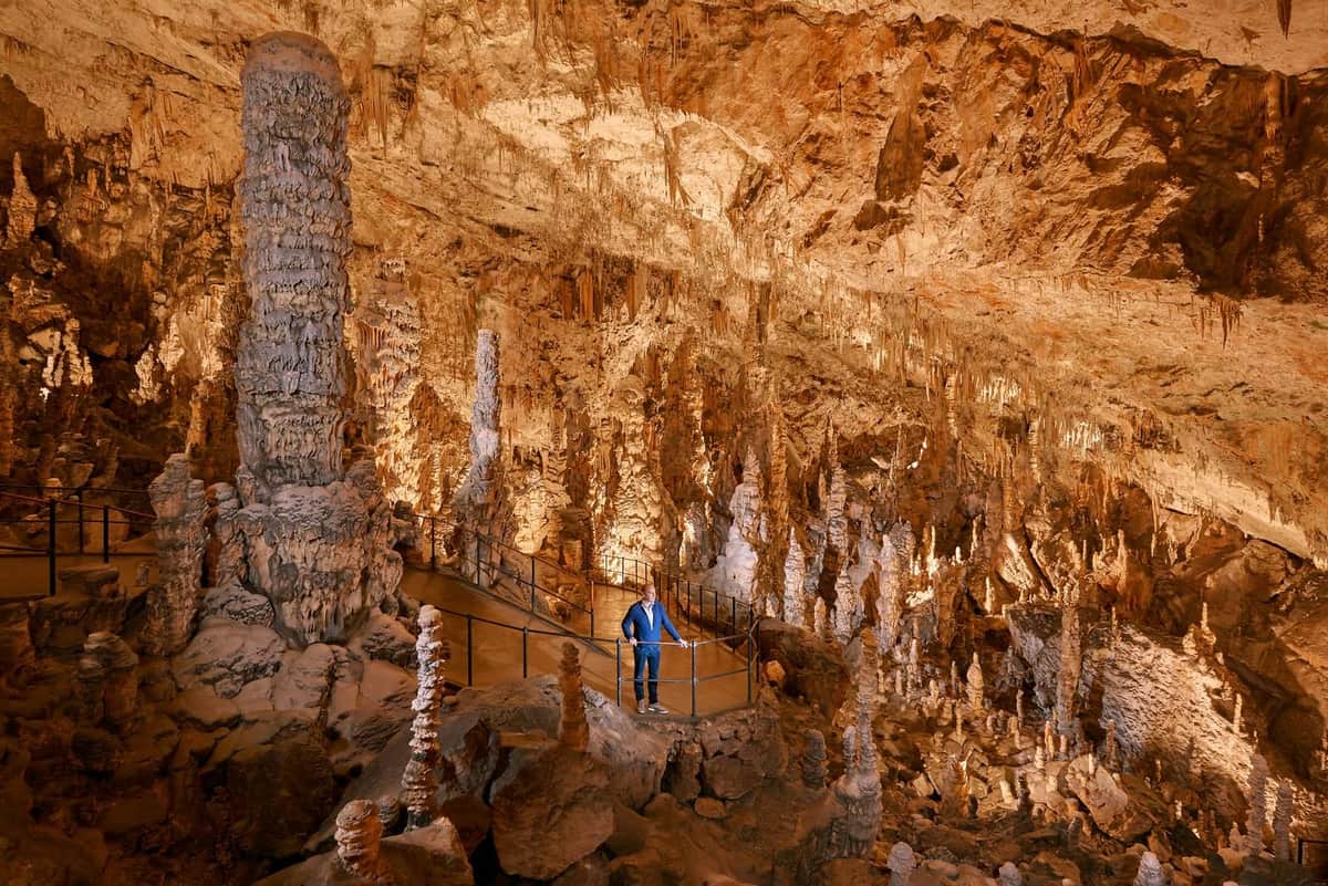 Postojna Cave & Predjama Castle: Half-Day Tour from Ljubljana Person standing on a walkway surrounded by large stalactites and stalagmites inside an illuminated cave.