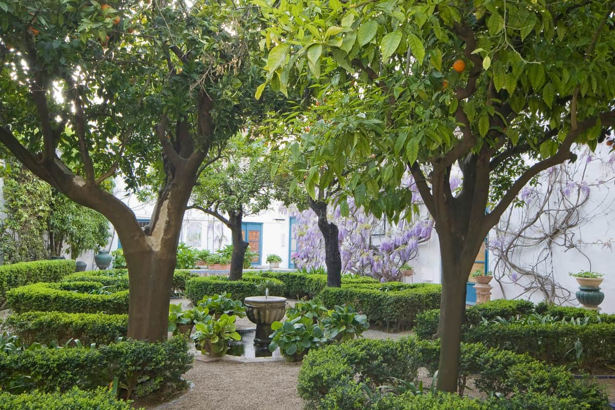 Garden with leafy trees, hedges, purple flowers, and a central stone fountain. White building in the background.