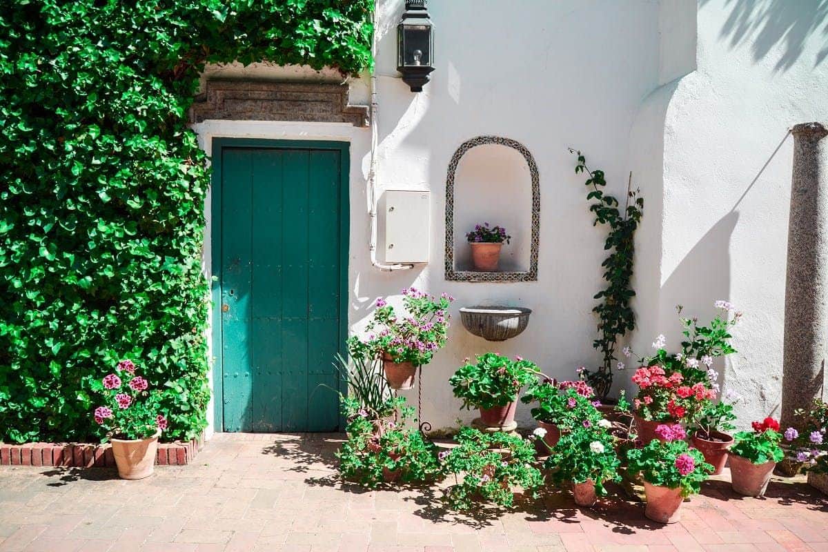 Viana Patios & Palace: Guided Tour A turquoise door surrounded by ivy, with various potted plants in a courtyard against a white wall featuring a niche.