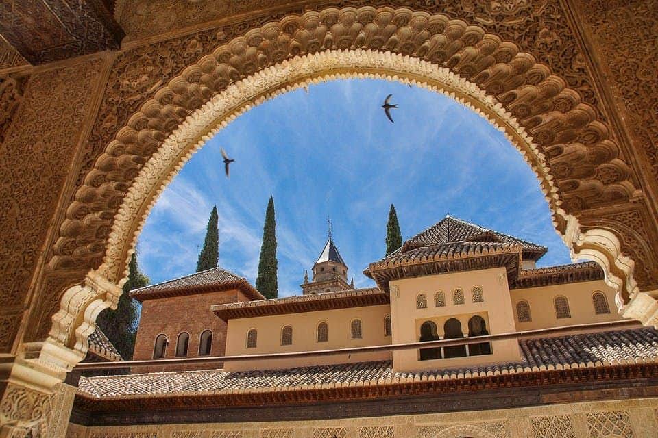 A detailed archway frames a view of traditional buildings and tall cypress trees against a clear blue sky with three birds flying.