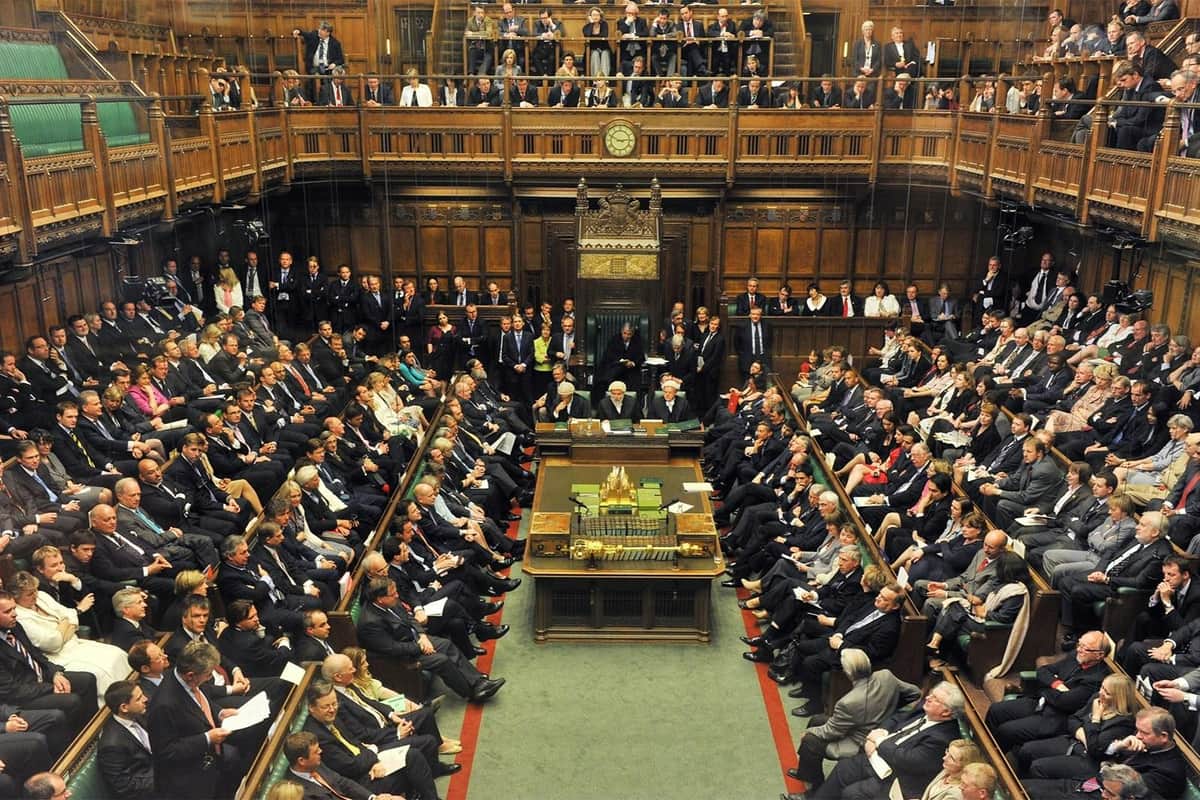 Houses of Parliament: Entry + Guided Walking Tour House of Parliament