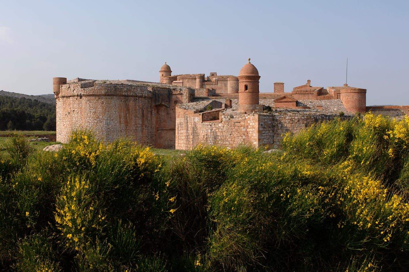 Ancient stone fortress with round towers, surrounded by yellow-flowering bushes under a clear sky. Dense forest in the background.