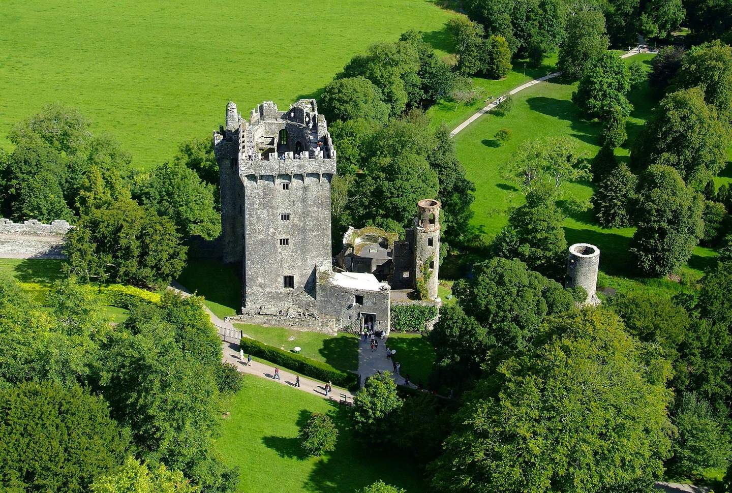 Aerial view of an old stone castle with a tower, surrounded by lush green trees and pathways.