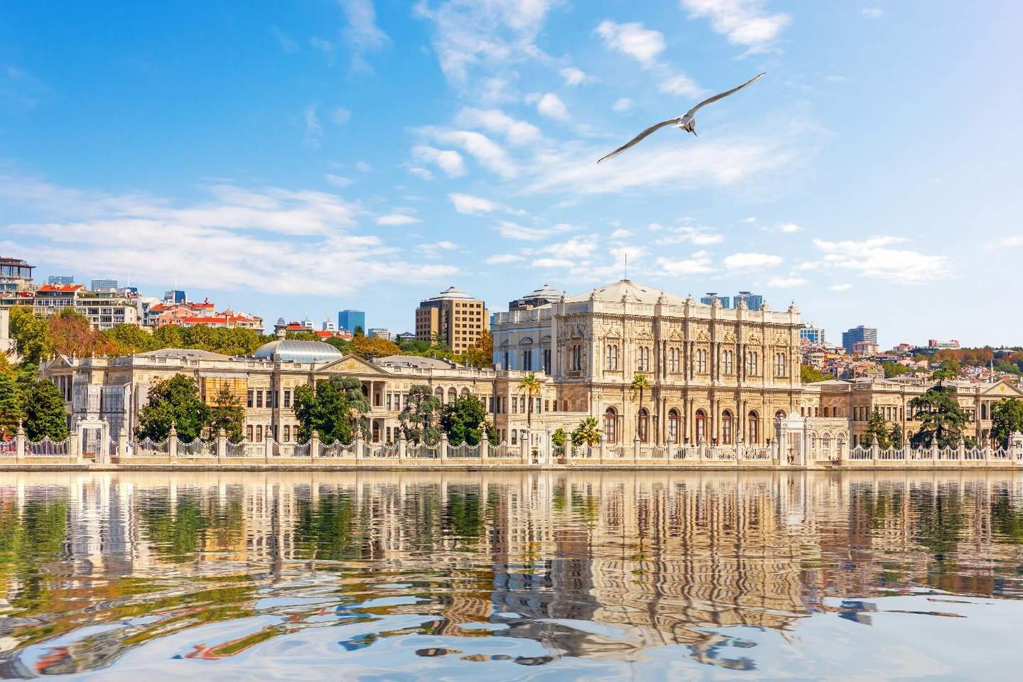 Historic palace with ornate facade and arched windows reflects in water; seagull in blue sky above, cityscape in background.