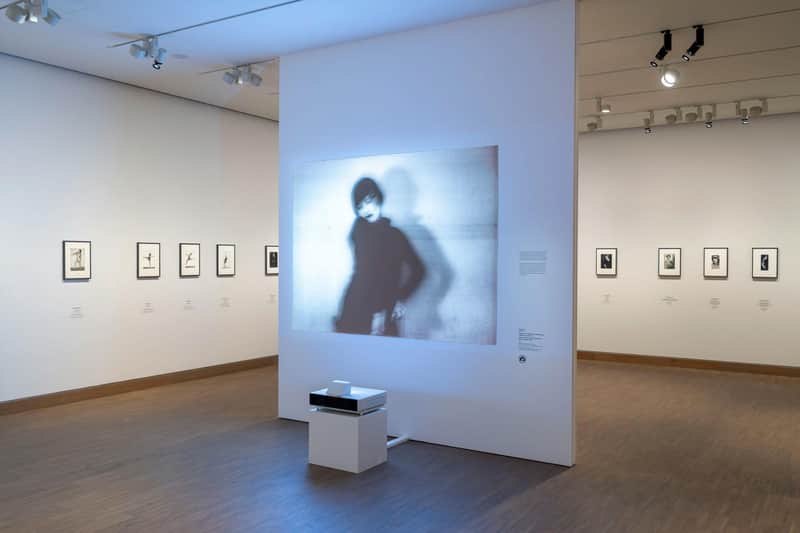 Albertina Museum: Entry Ticket + Audio Guide