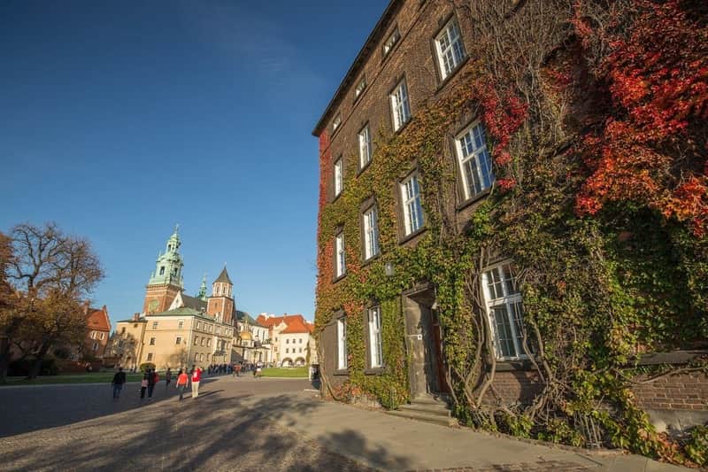 Wawel Castle, Cathedral & Rynek Krakow: Entry Ticket, Guided Tour + Lunch