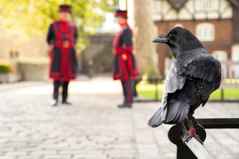 Tower of London: Guided Tour with a Beefeater