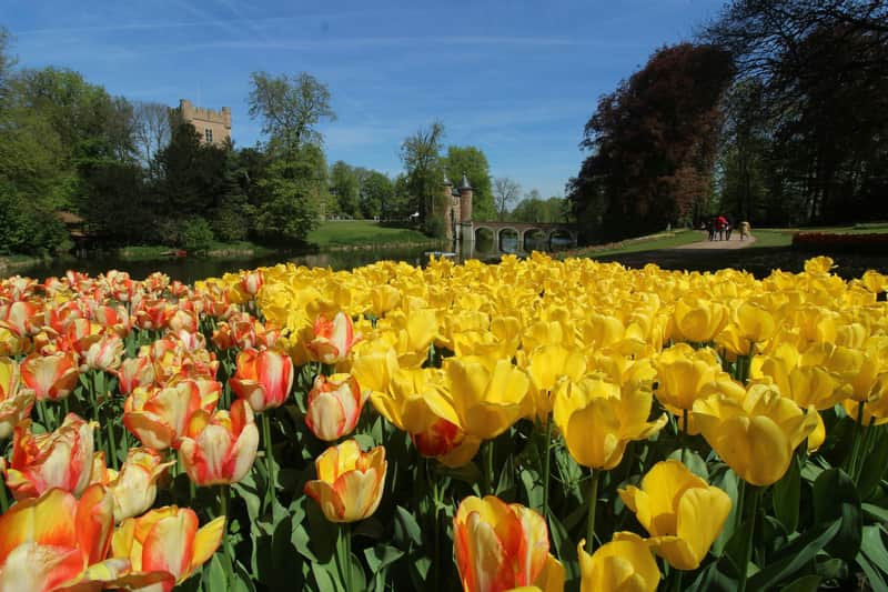 Groot-Bijgaarden Castle